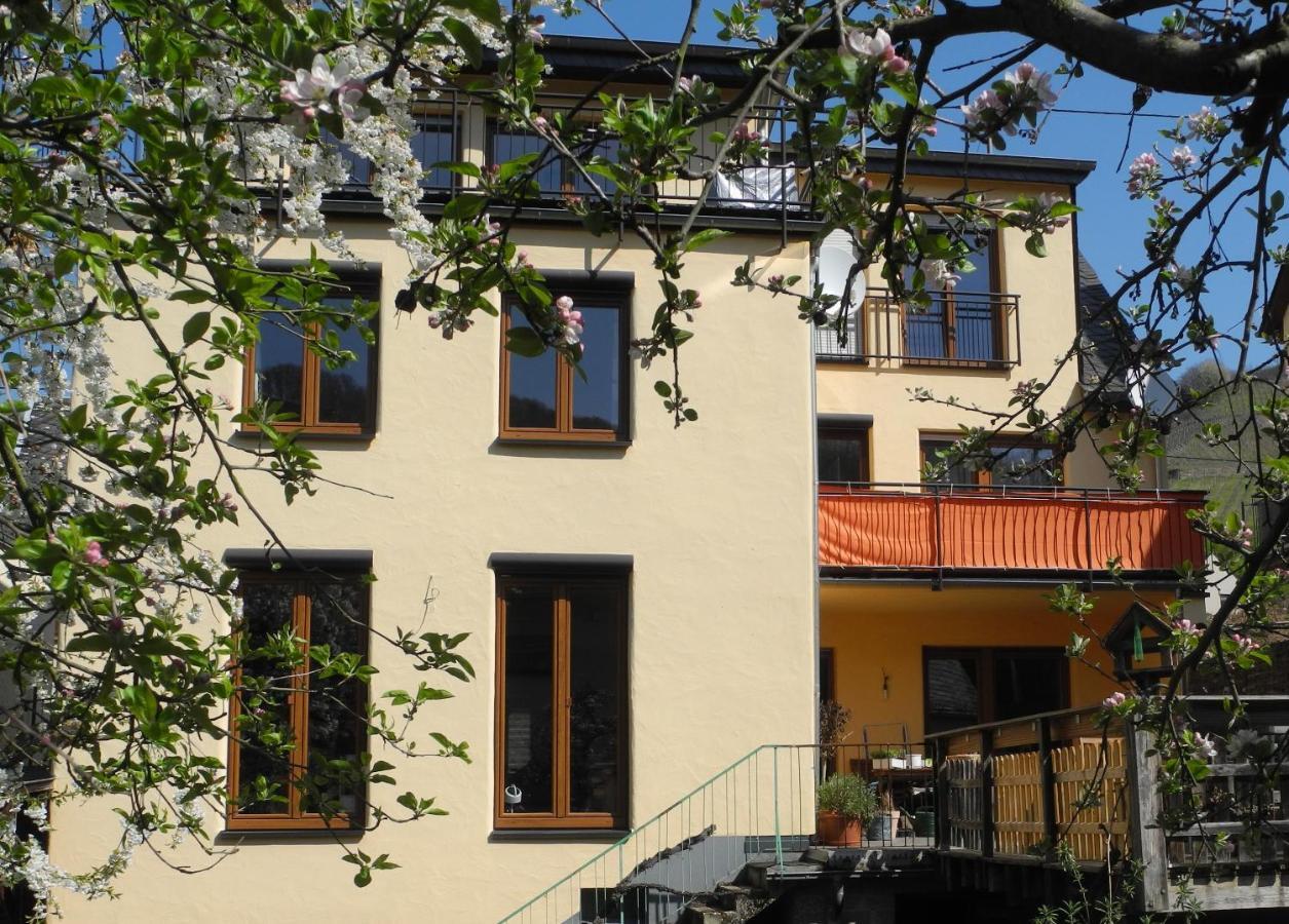 Ferienwohnung Ellebett Müden Exterior foto